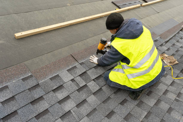 Best Roof Gutter Cleaning  in Hephzibah, GA