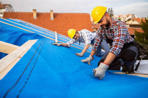 Best Metal Roofing Contractor  in Hephzibah, GA